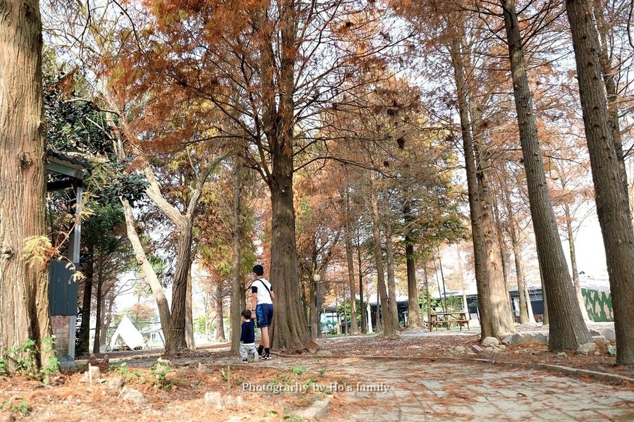 【雲林親子景點】古坑鹿營親子農場～滑草、餵小動物、落羽松林、親子餐廳30.JPG