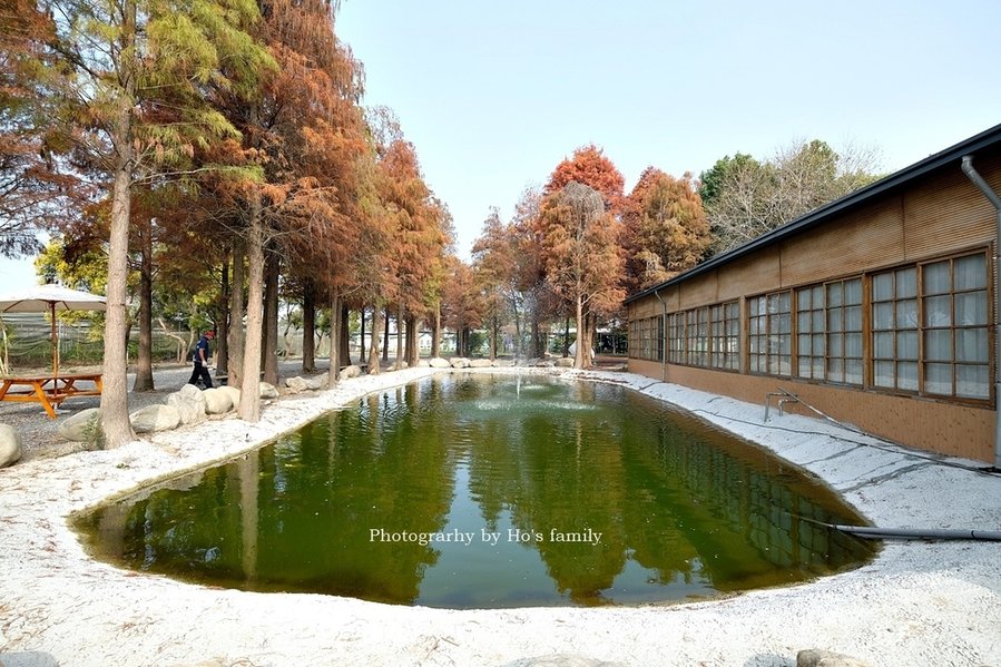 【雲林親子景點】古坑鹿營親子農場～滑草、餵小動物、落羽松林、親子餐廳35.JPG