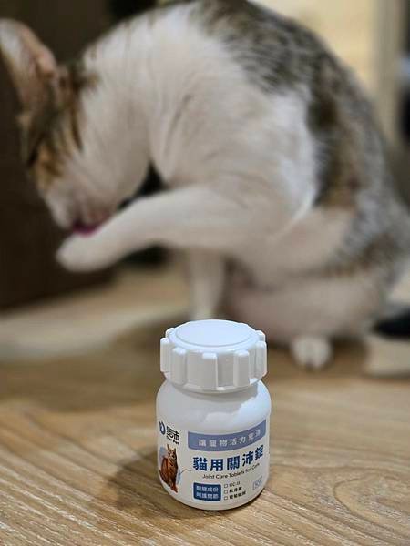 【好物分享】奧沛 OurPet貓用關沛錠，貓咪關節保健推薦，