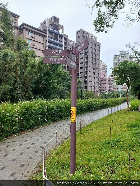 【桃園景點】-親子一日遊友善放電好地方 (大有梯田生態公園)