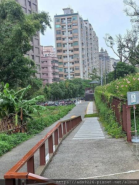 【桃園景點】-親子一日遊友善放電好地方 (大有梯田生態公園)