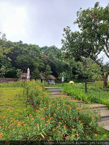 【桃園景點】-親子一日遊友善放電好地方 (大有梯田生態公園)