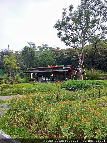 【桃園景點】-親子一日遊友善放電好地方 (大有梯田生態公園)