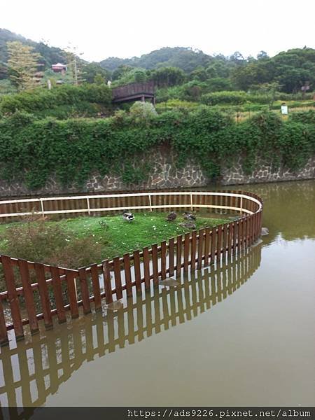 【桃園景點】-親子一日遊友善放電好地方 (大有梯田生態公園)