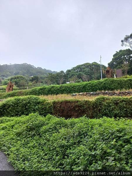 【桃園景點】-親子一日遊友善放電好地方 (大有梯田生態公園)