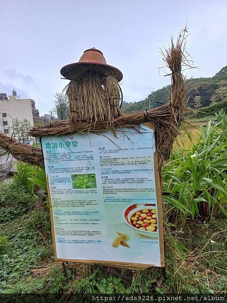 【桃園景點】-親子一日遊友善放電好地方 (大有梯田生態公園)