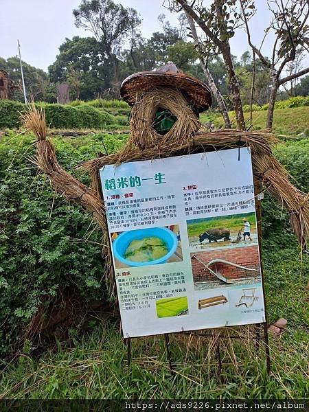 【桃園景點】-親子一日遊友善放電好地方 (大有梯田生態公園)