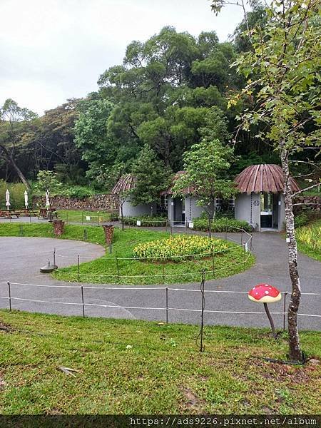 【桃園景點】-親子一日遊友善放電好地方 (大有梯田生態公園)