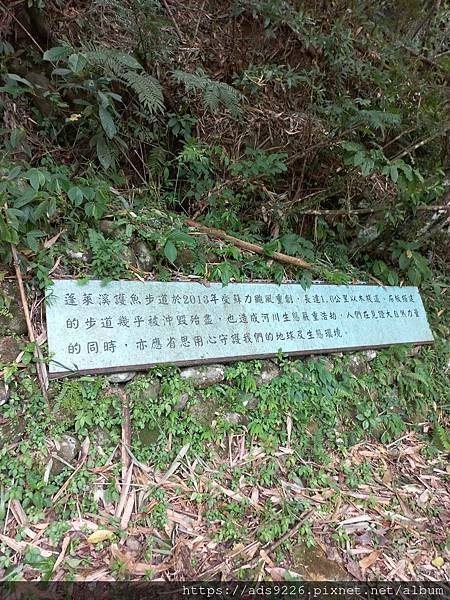 【苗栗免費景點  】-蓬萊溪護魚步道南庄健行 -親子一日遊(