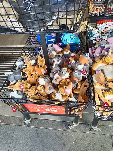 【澳洲遊】澳洲超市、藥妝店伴手禮和戰利品分享/ 澳洲買什麼？