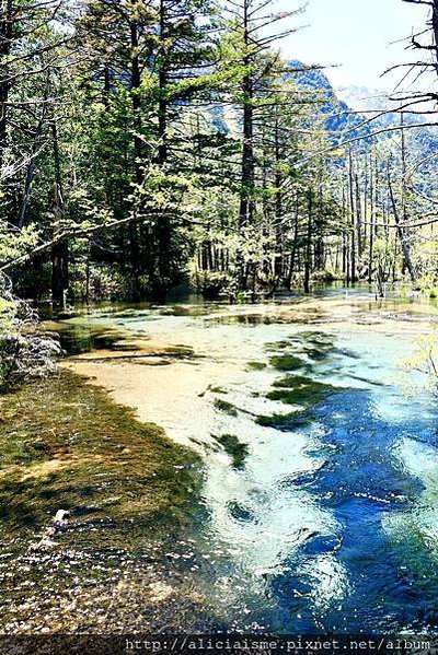 【長野縣】上高地《田代橋~河童橋～明神池》：人間仙境相遇的絕