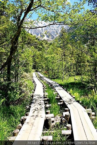 【長野縣】上高地《田代橋~河童橋～明神池》：人間仙境相遇的絕