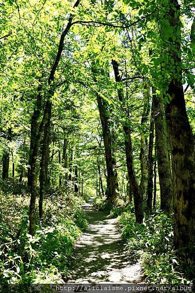 【長野縣】上高地《田代橋~河童橋～明神池》：人間仙境相遇的絕