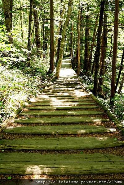 【長野縣】上高地《田代橋~河童橋～明神池》：人間仙境相遇的絕