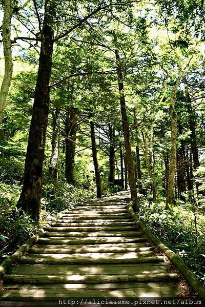 【長野縣】上高地《田代橋~河童橋～明神池》：人間仙境相遇的絕