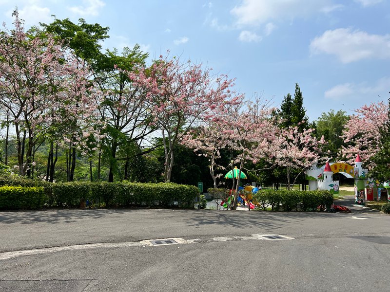 台南景點,台南景點親子,柳營景點,柳營景點推薦,尖山埤江南渡假村,獨木舟,水上腳踏車,小琉球,露水雞,柳營露水雞