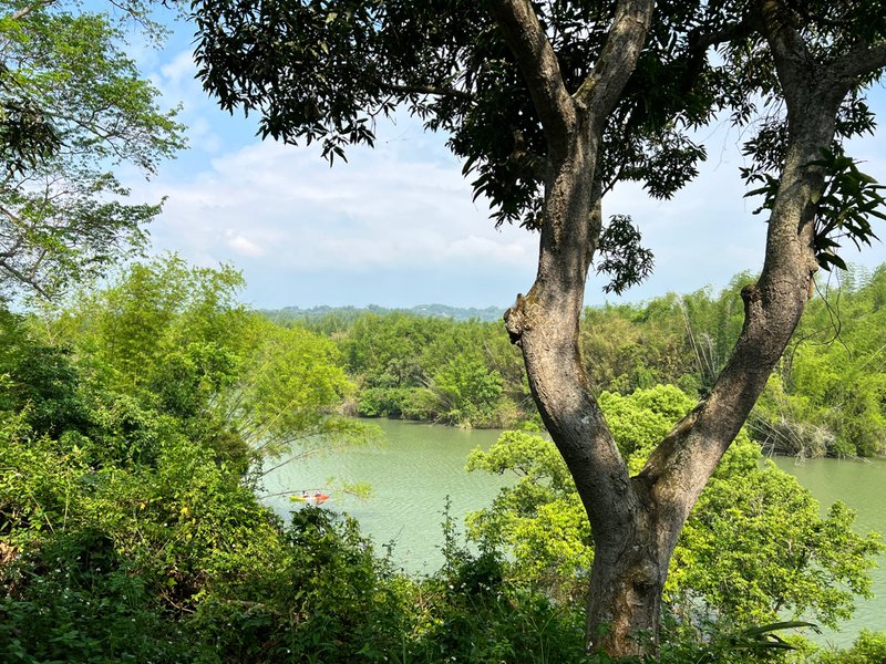 台南景點,台南景點親子,柳營景點,柳營景點推薦,尖山埤江南渡假村,獨木舟,水上腳踏車,小琉球,露水雞,柳營露水雞