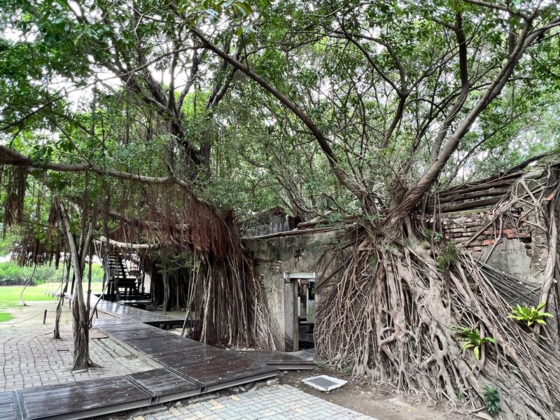 台南景點,台南景點一日遊,台南景點親子,安平景點,安平樹屋,英商德記洋行,東興洋行