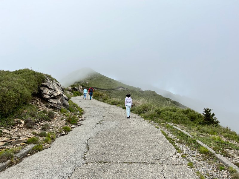 南投景點,南投景點親子,仁愛鄉景點,合歡主峰,合歡主峰步道,合歡主峰停車,百岳入門,武嶺