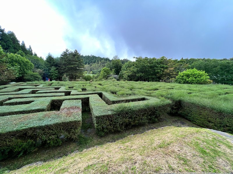 南投景點,南投景點親子,仁愛鄉景點,台大梅峰農場,採水蜜桃,採水蜜桃推薦,水蜜桃,高麗菜