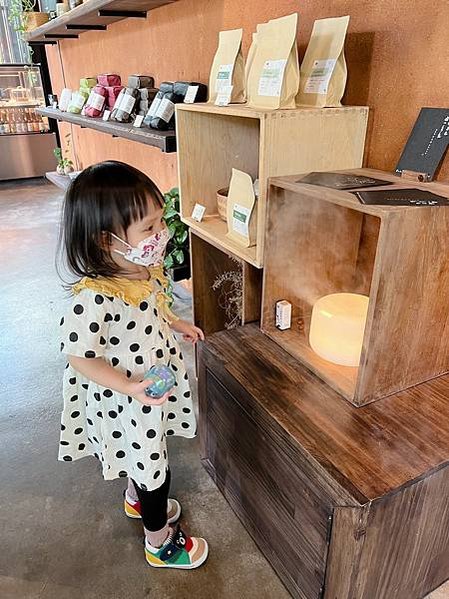 半畝院子.若山茶書院23
