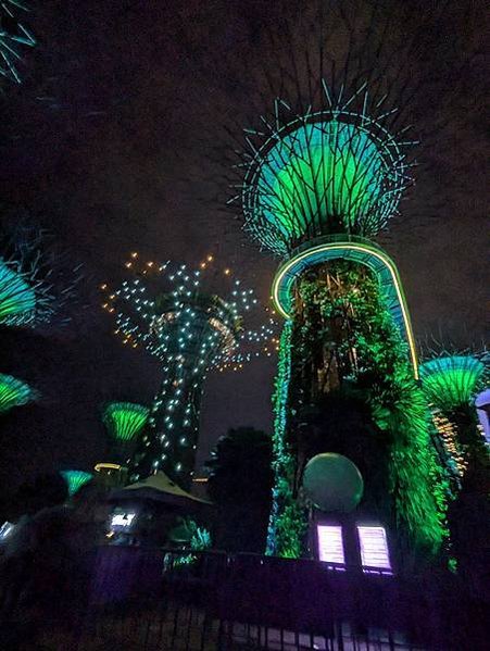 新加坡六天五夜！超熱的七月跑一堆景點！星耀樟宜｜野生動物園｜