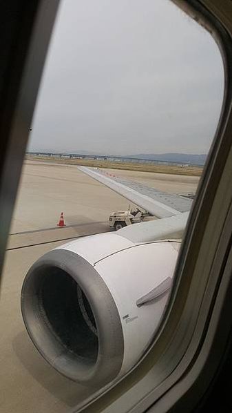 WINGS