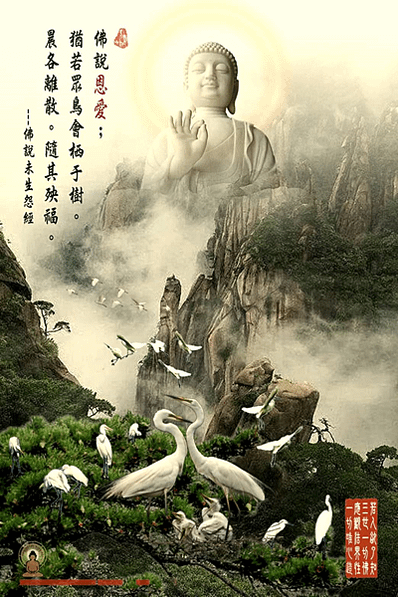 良禽擇木安居而棲 恩愛育子終將別離--川流先生(繪圖者:C