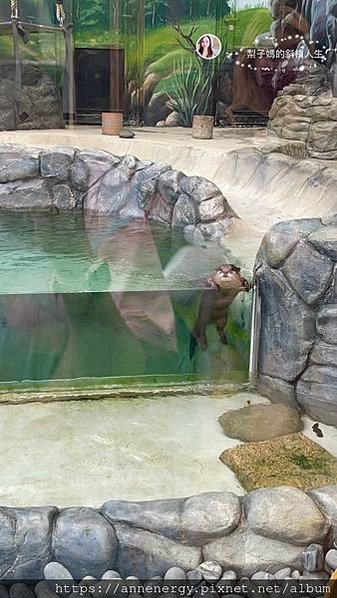 【花蓮旅遊】遠雄海洋公園｜小寶貝水族館初體驗｜一定要看的人魚