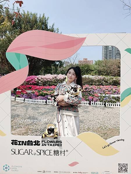 跟著小蜜蜂賞花趣『花IN台北』｜糖村聯名
