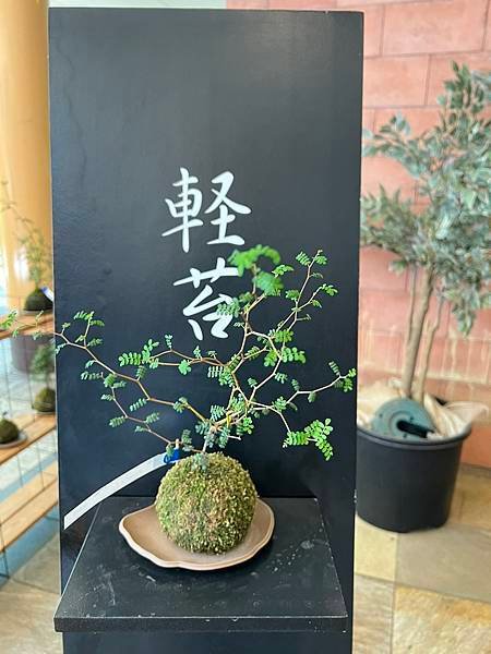 2024 東京輕井澤六日-Day2