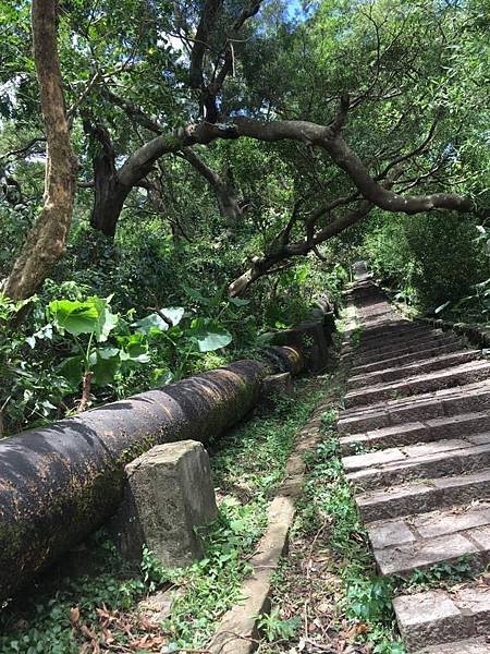 台北旅遊 天母旅遊 天母古道 翠峰瀑布 