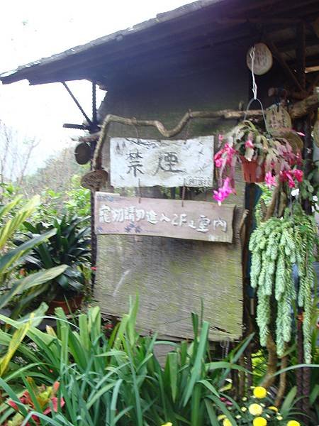 DSC00565