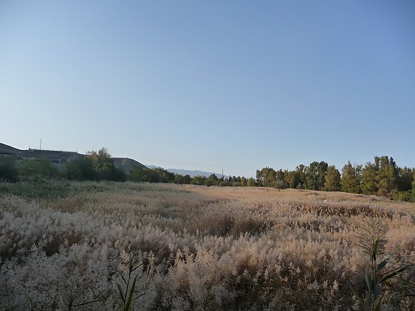 P1070862.JPG
