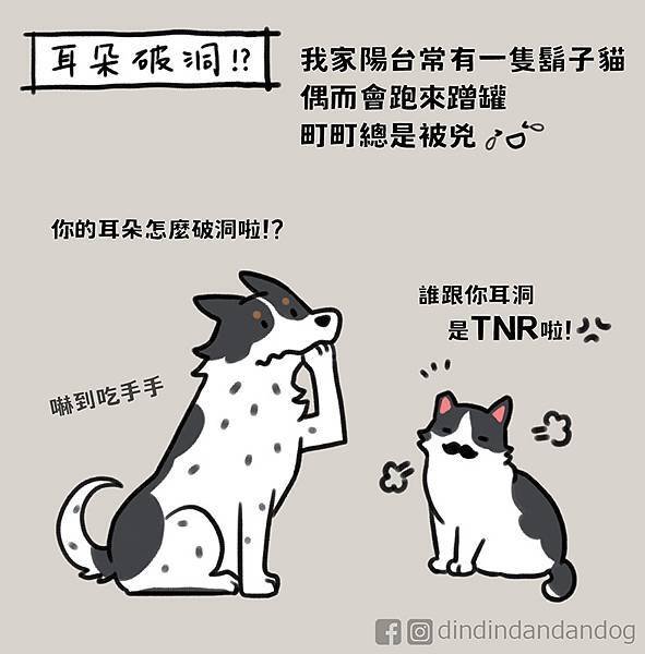 0080耳朵破洞