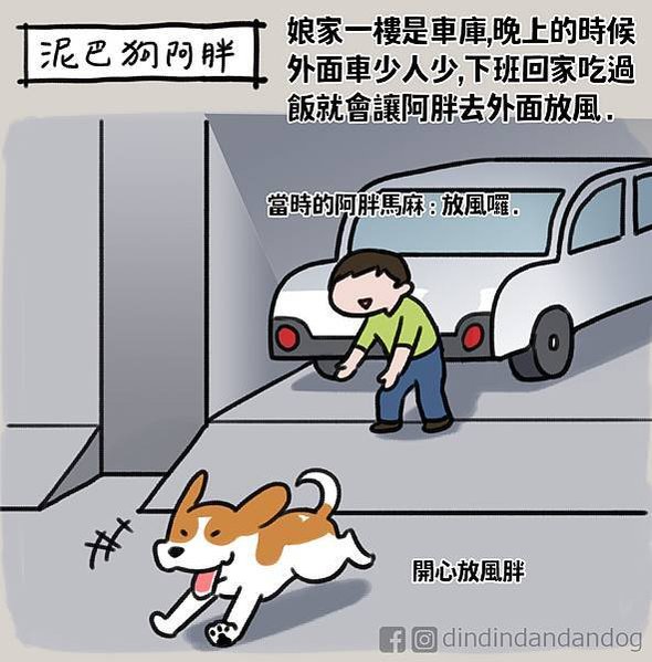 0165泥巴狗阿胖01