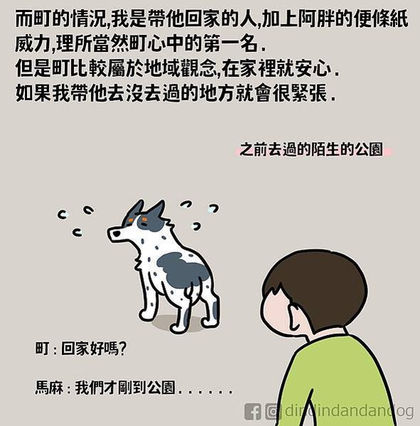 0237狗狗心中的位階06