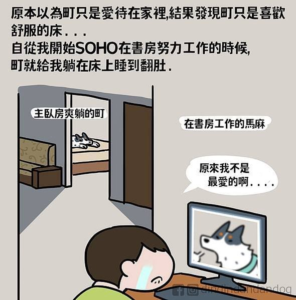 0237狗狗心中的位階07