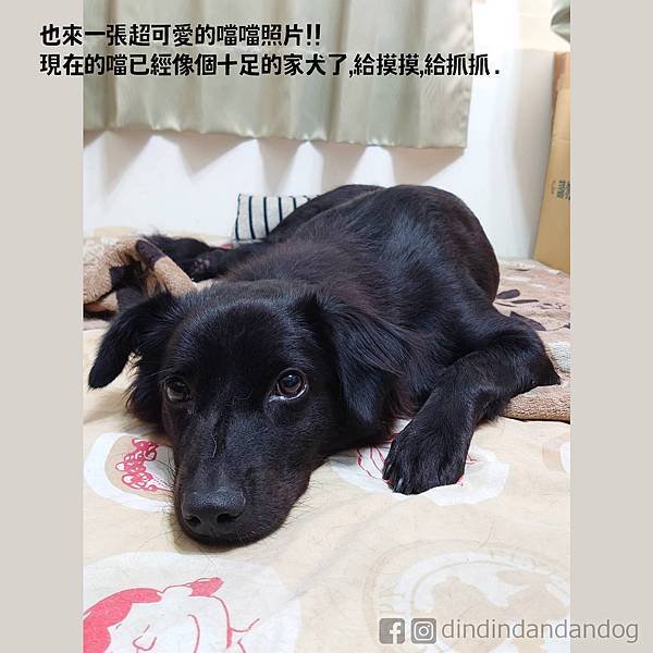 0292_動起來啦03