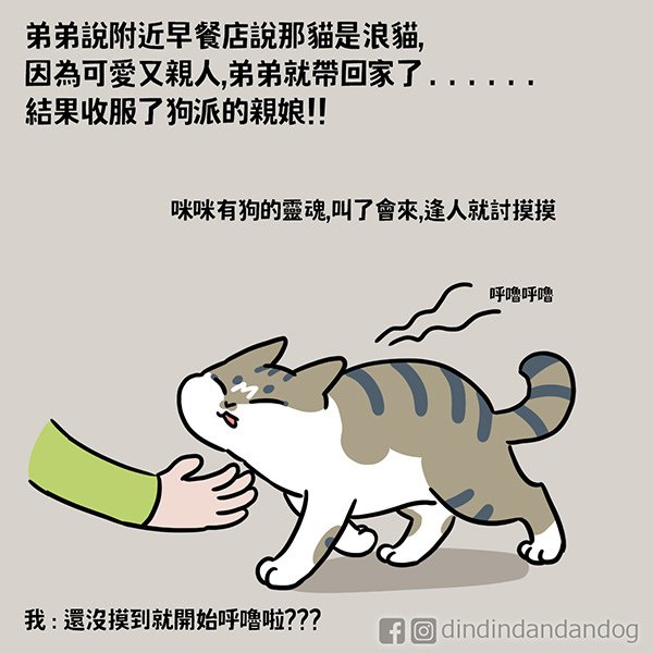 0331_咪咪到娘家02 - 複製