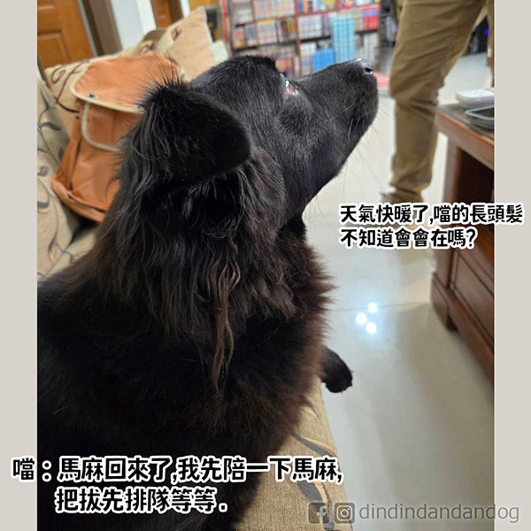 0337_忘記和町說6 - 複製