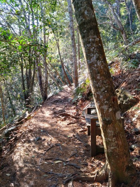 狗狗登山〉台中和平．谷關七雄．唐麻丹山