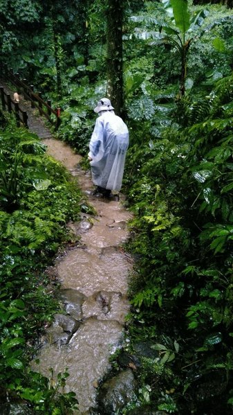 狗狗登山〉新竹五峰．五指山．五指連峰步道