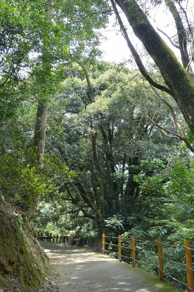 狗狗出遊〉台中東勢．東勢林場