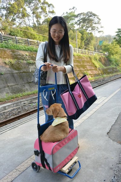 狗狗出遊〉新竹內灣．寵物推車上火車．合興車站．內灣老街