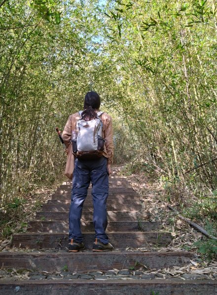 健行〉新竹峨眉．十二寮登山步道Ⅲ