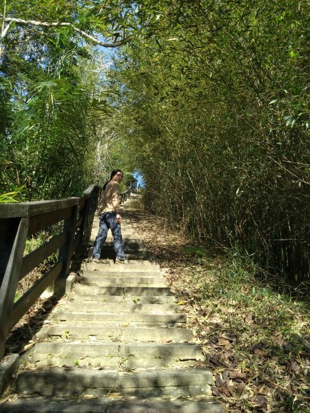 健行〉新竹峨眉．十二寮登山步道Ⅲ