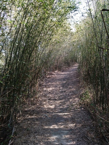 健行〉新竹峨眉．十二寮登山步道Ⅲ