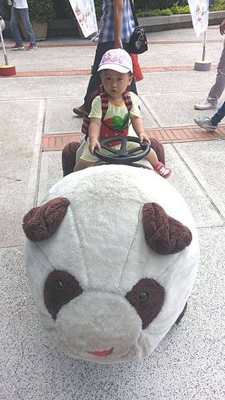 102.08.10電動玩具車車 (1).jpg