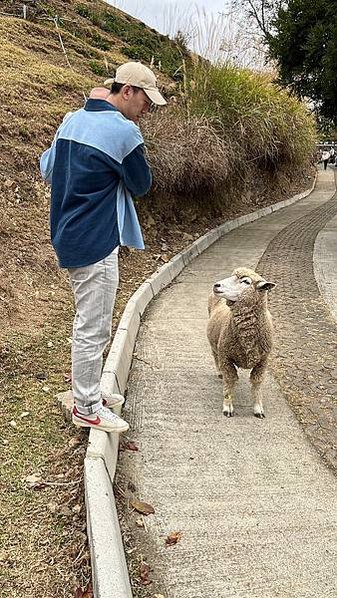 【親子景點】九個月寶寶遊清境農場｜清境農場門票 綿羊秀 帶嬰